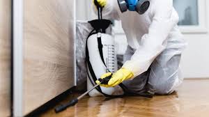 Professional Pest Control in Steger, IL